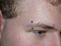 Alle Bilder &raquo; Piercings &raquo; Augenbraue
